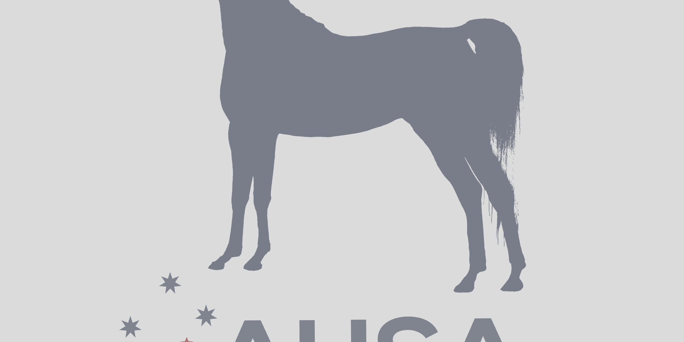 asha-news-placeholder