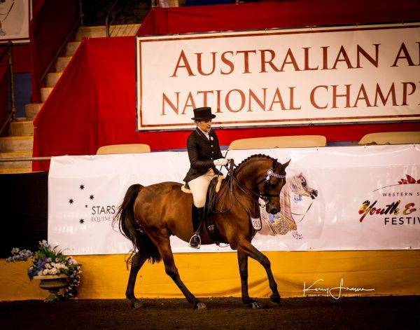 Australian Arabian National Championships – Arabian Horse Society of ...