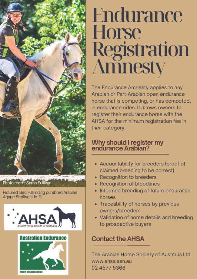 AHSA Endurance Amnesty flyer.pdf